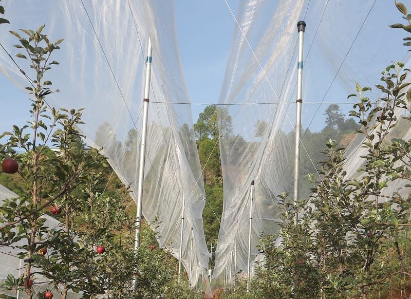 Anti Hail Net – Leno Pattern (2.5m x 100m) — Trellis Support System