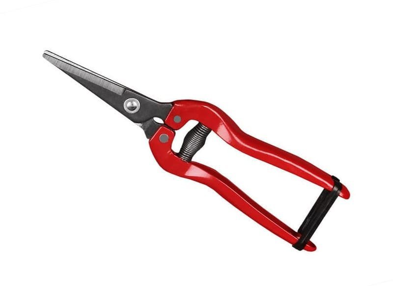 Fruit Cutter — Gardening Tools