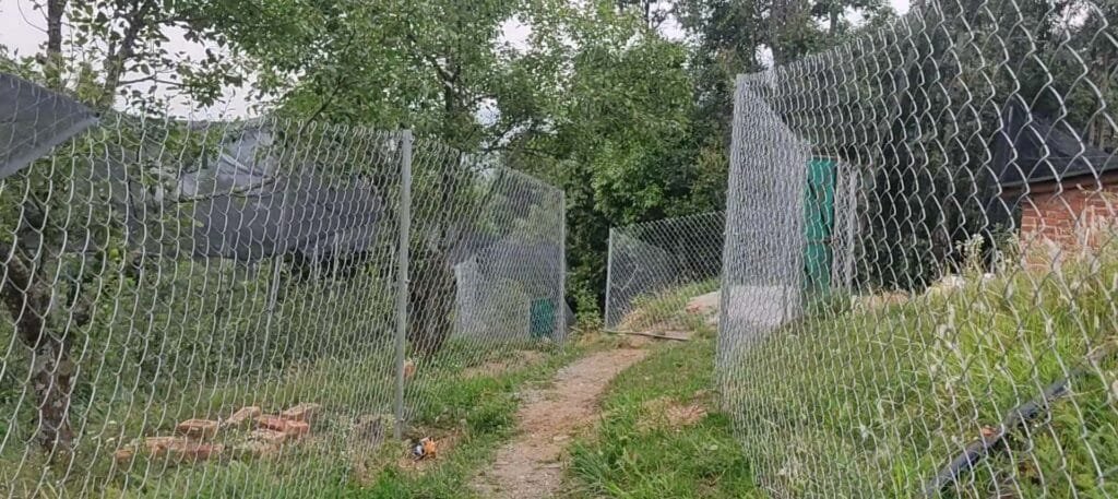Boundary & Fencing Construction Services