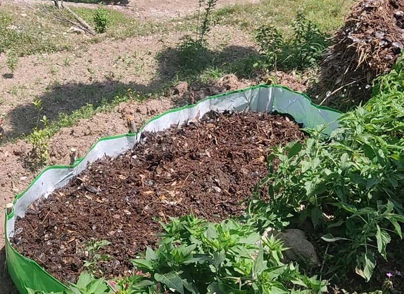 Vermi Compost